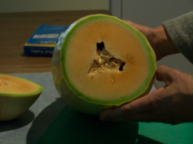 100_0608 (800x600).jpg