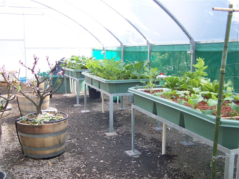 100_6452 (Custom).JPG