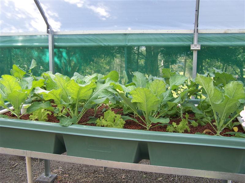 100_6454 (Custom).JPG