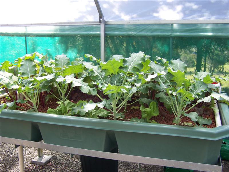 100_6455 (Custom).JPG