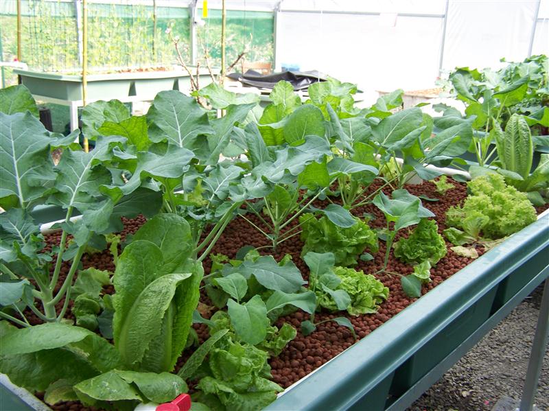 100_6457 (Custom).JPG