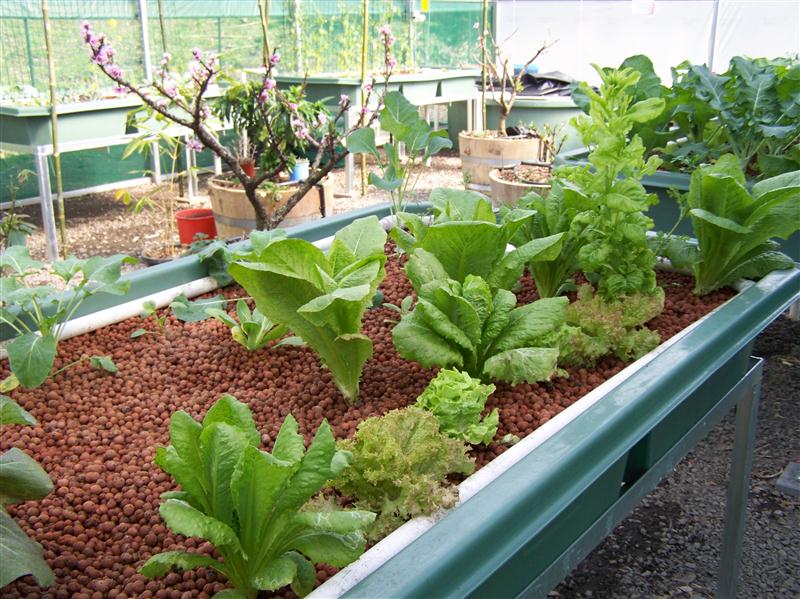 100_6458 (Custom).JPG