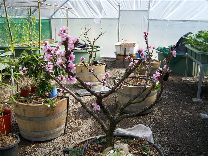 100_6459 (Custom).JPG