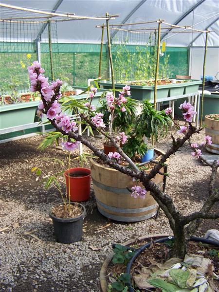 100_6460 (Custom).JPG