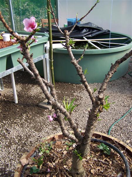 100_6462 (Custom).JPG