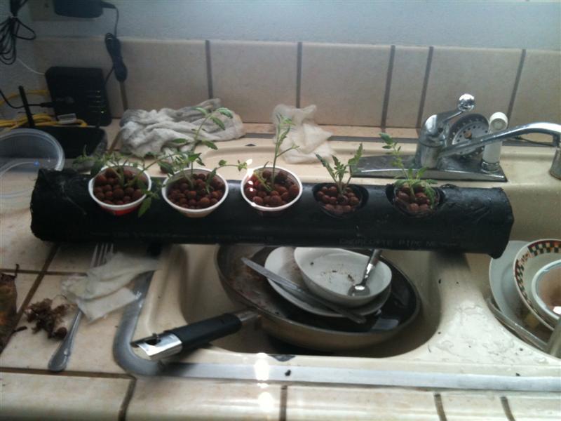 IMG_1015 (Medium).jpg