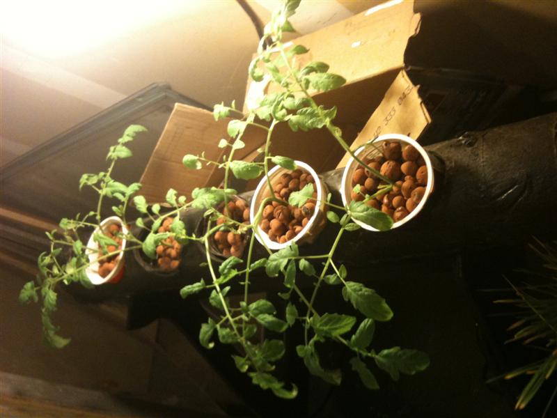 IMG_1122 (Medium).jpg