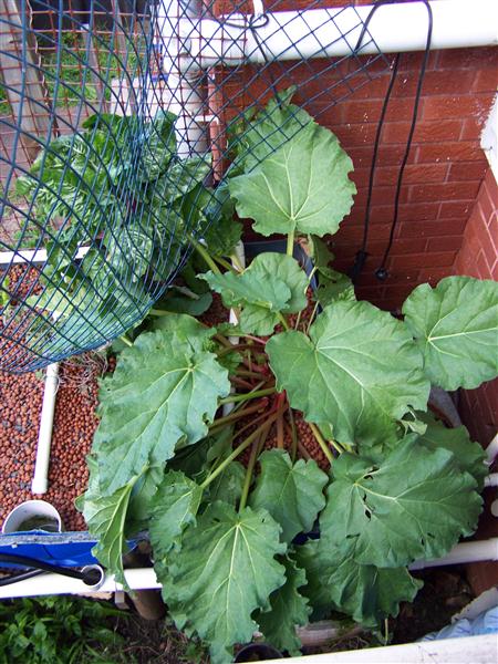 100_6467 (Custom).JPG