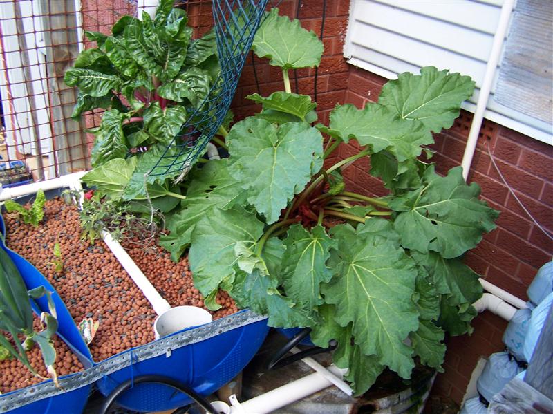 100_6468 (Custom).JPG