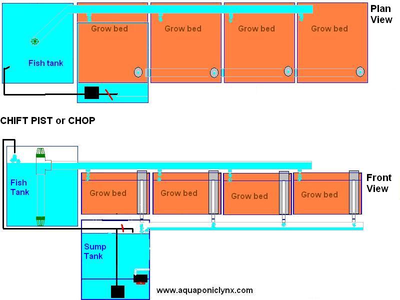 CHIFT PIST or CHOP.JPG