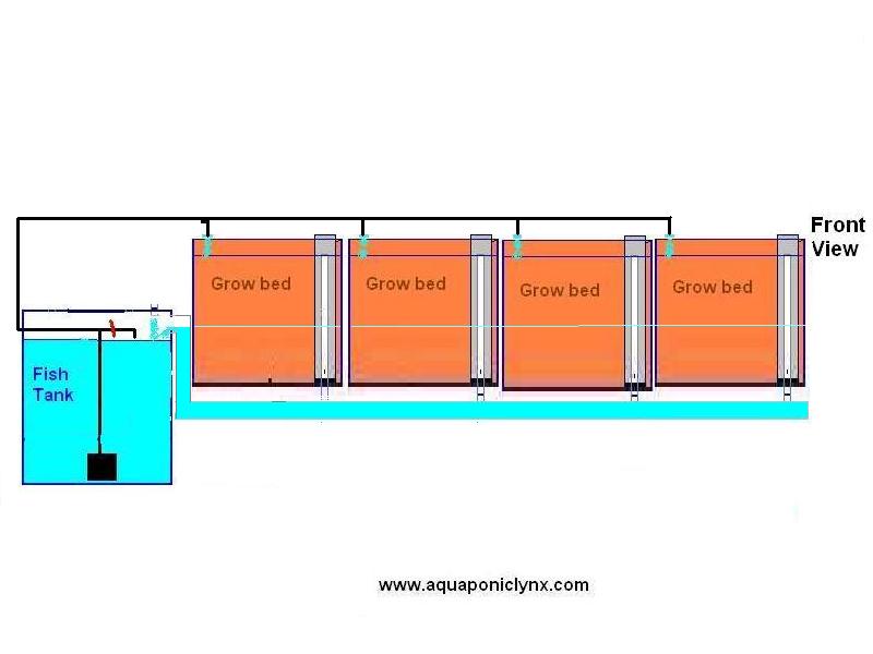 deep grow beds.JPG