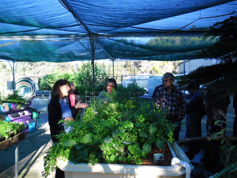 SAM_0664 (Medium).JPG