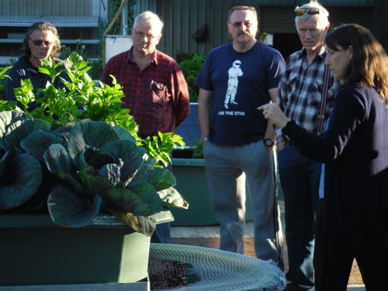 SAM_0678 (Medium).JPG