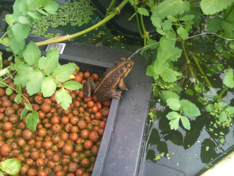 2011-08-21 14.32.32.jpg