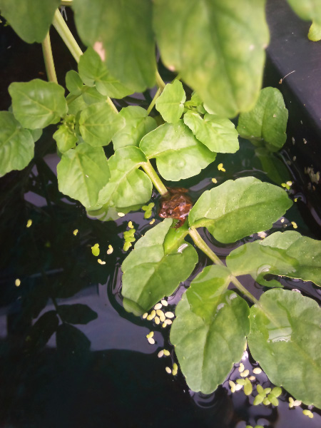 2011-08-21 14.32.45.jpg