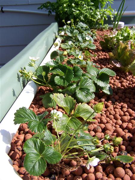 100_6469 (Custom).JPG