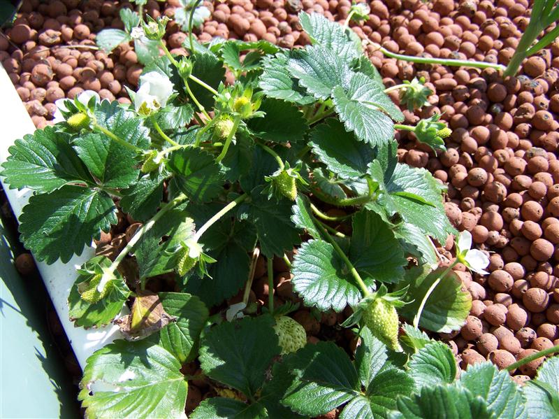 100_6471 (Custom).JPG