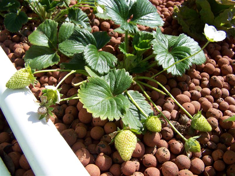 100_6472 (Custom).JPG