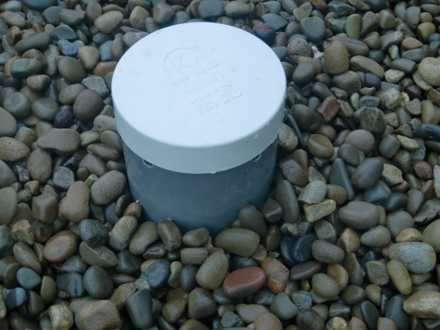 CIMG0652 (640x480).jpg