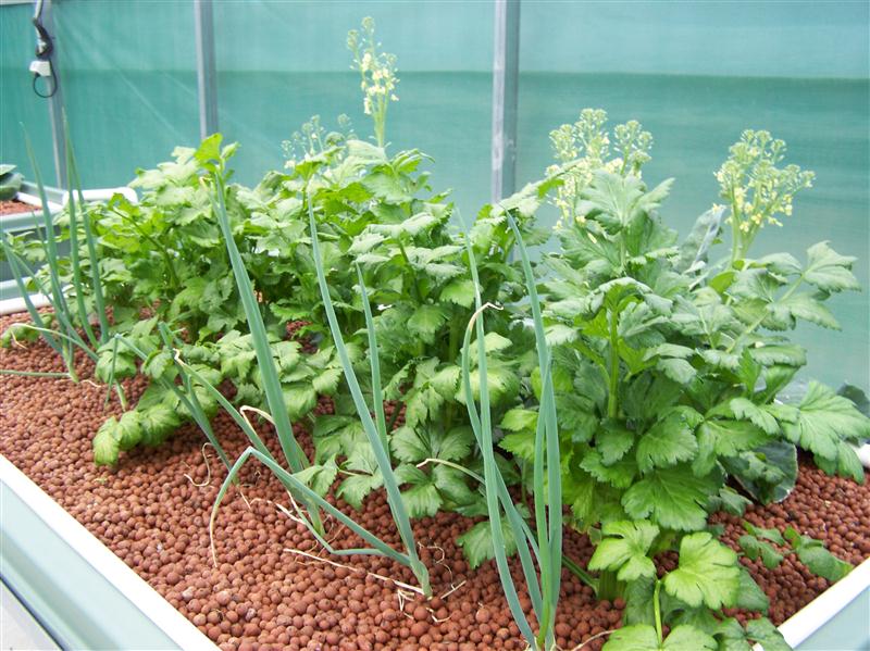 100_6477 (Custom).JPG