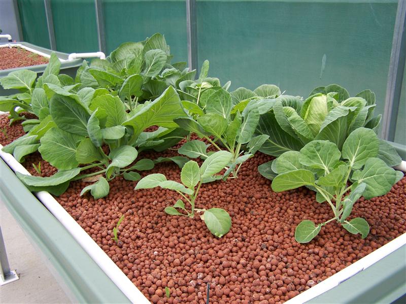 100_6480 (Custom).JPG