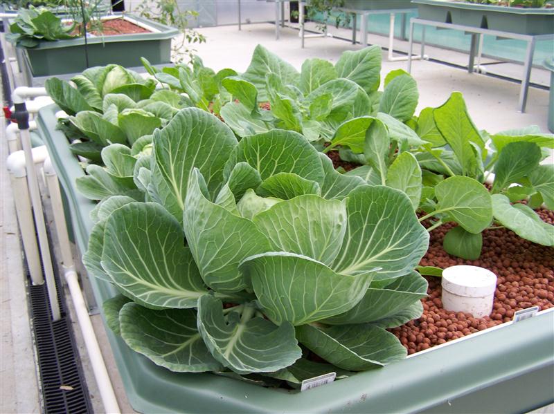 100_6481 (Custom).JPG