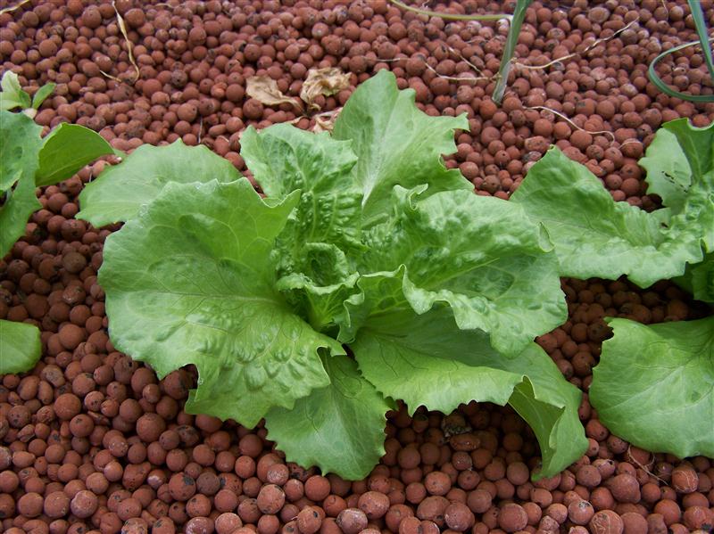 100_6486 (Custom).JPG