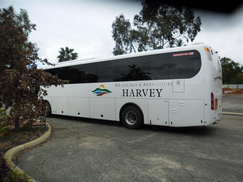 SAM_0703 (Custom).JPG