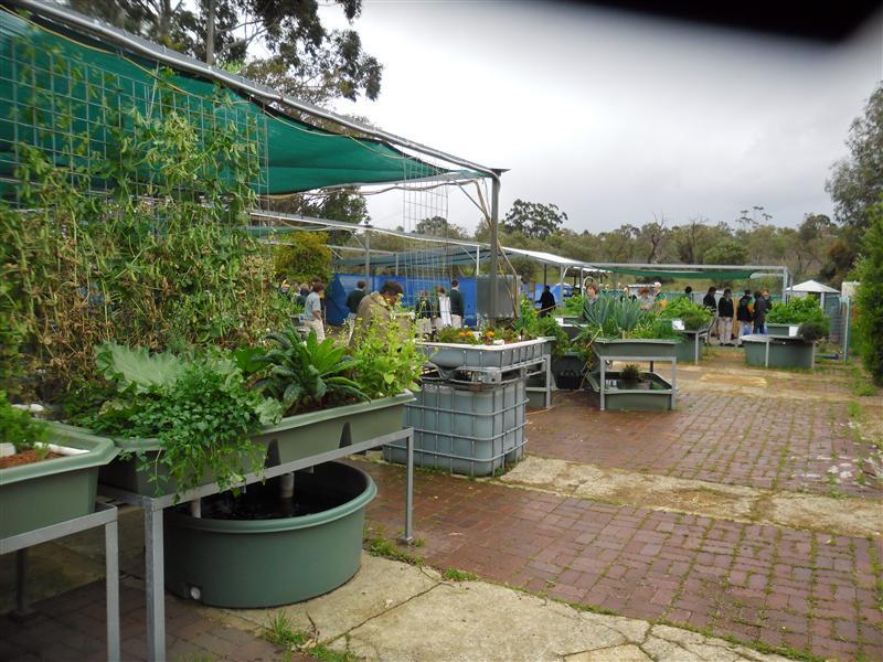 SAM_0701 (Custom) (Custom).JPG