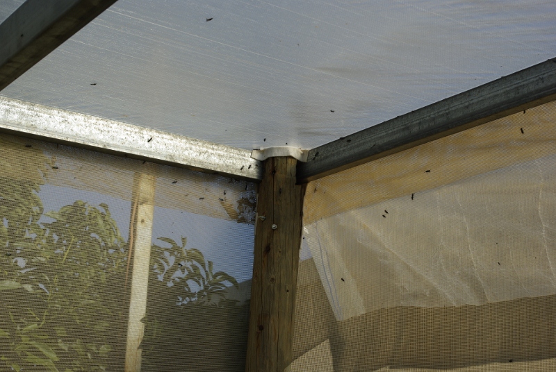 _IGP2671 (800x536).jpg