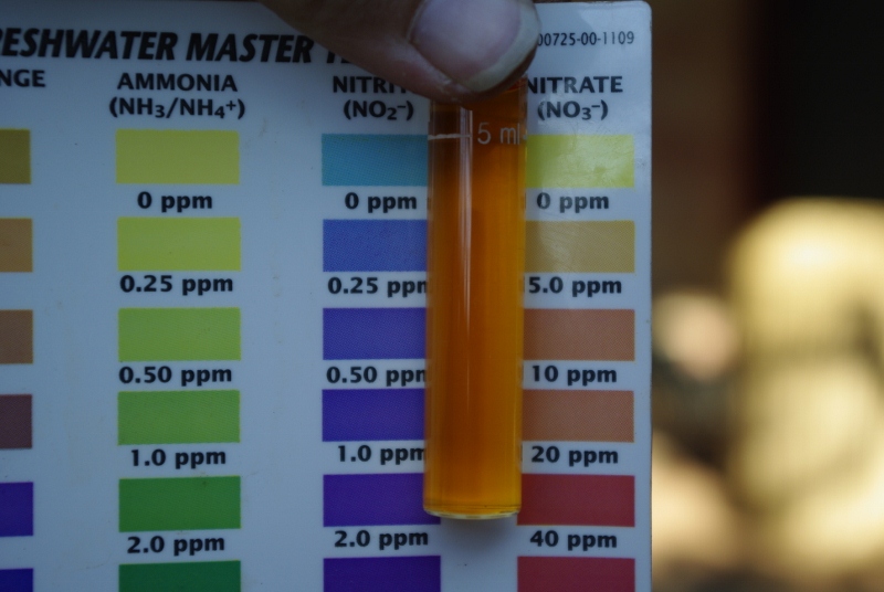 _IGP2729 (800x536).jpg