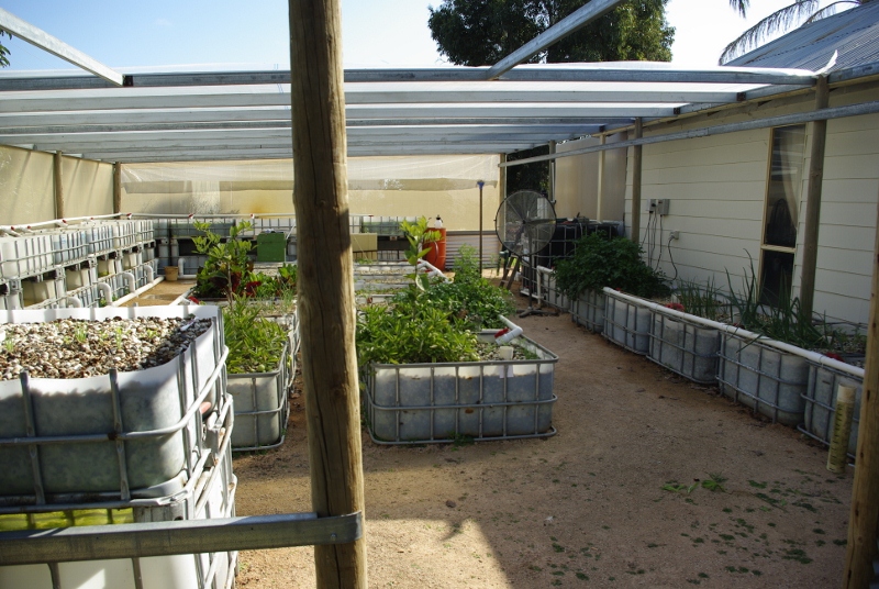 _IGP2695 (800x536).jpg