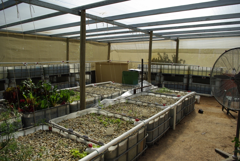 _IGP2720 (800x536).jpg