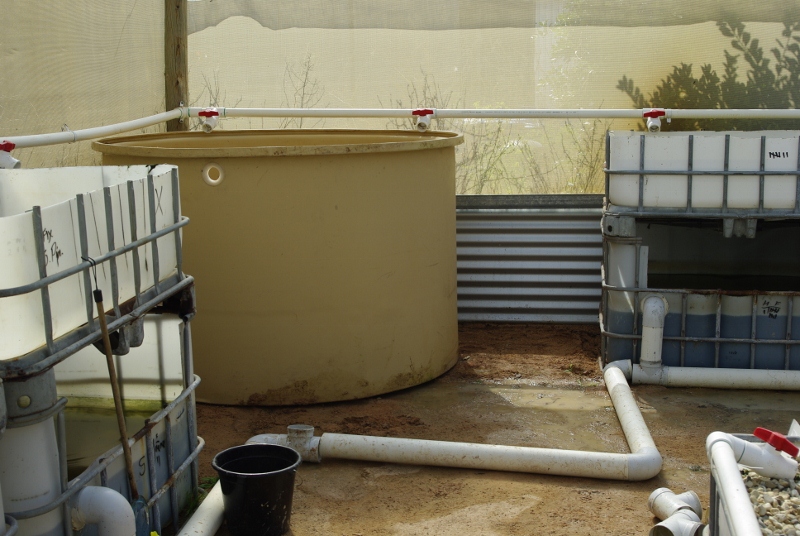 _IGP2719 (800x536).jpg