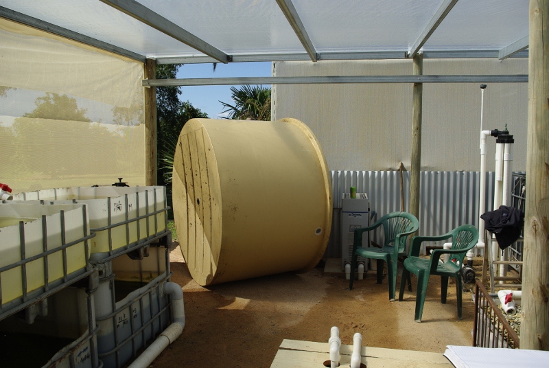 _IGP2718 (800x536).jpg