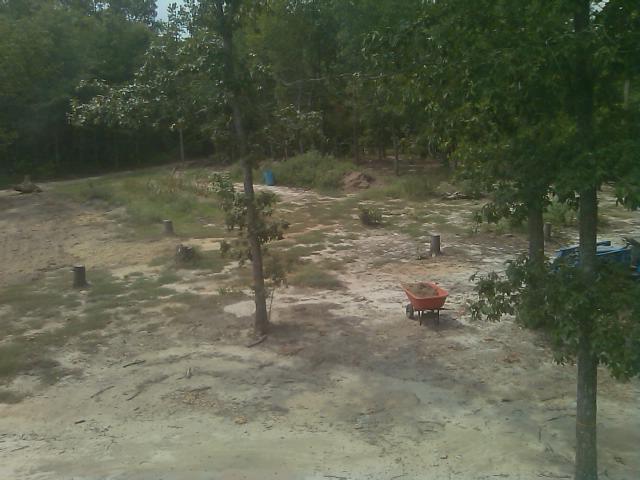 9-04-2011 Upper half of AP area.jpg