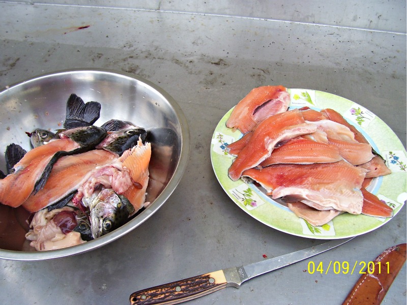 Trout-Harvest-early-Sept-2011 03.jpg