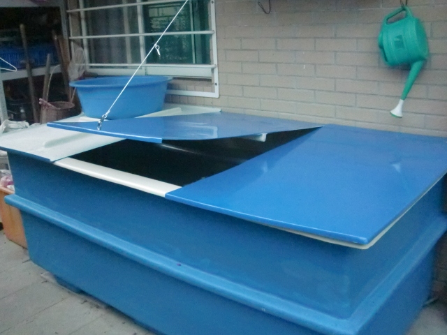 CIMG0657 (640x480).jpg