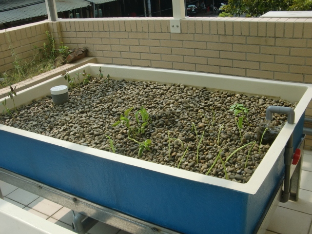 CIMG0663 (640x480) (2).jpg