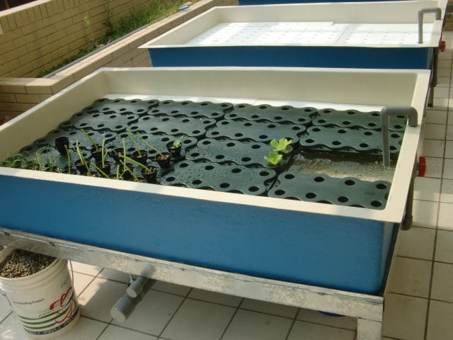 CIMG0659 (640x480).jpg