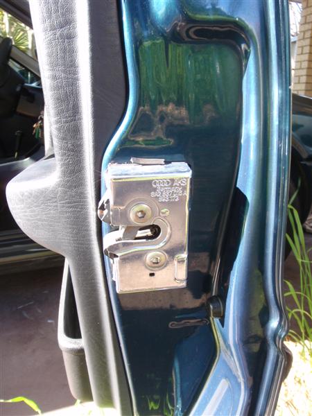 P9100351 (Medium).JPG