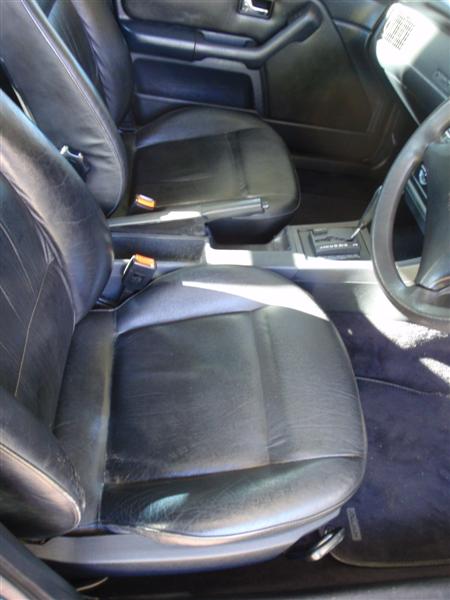 P9100349 (Medium).JPG