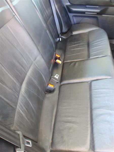 P9100354 (Medium).JPG