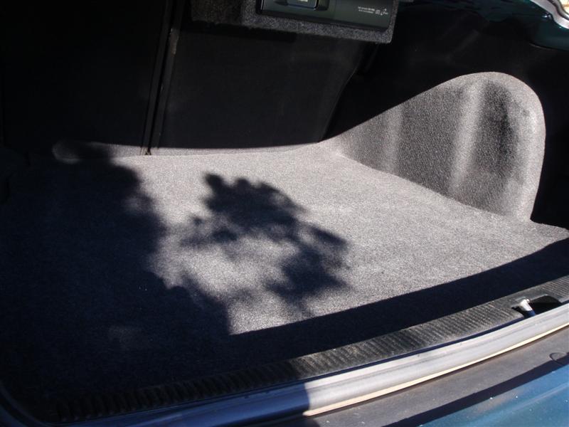 P9100353 (Medium).JPG