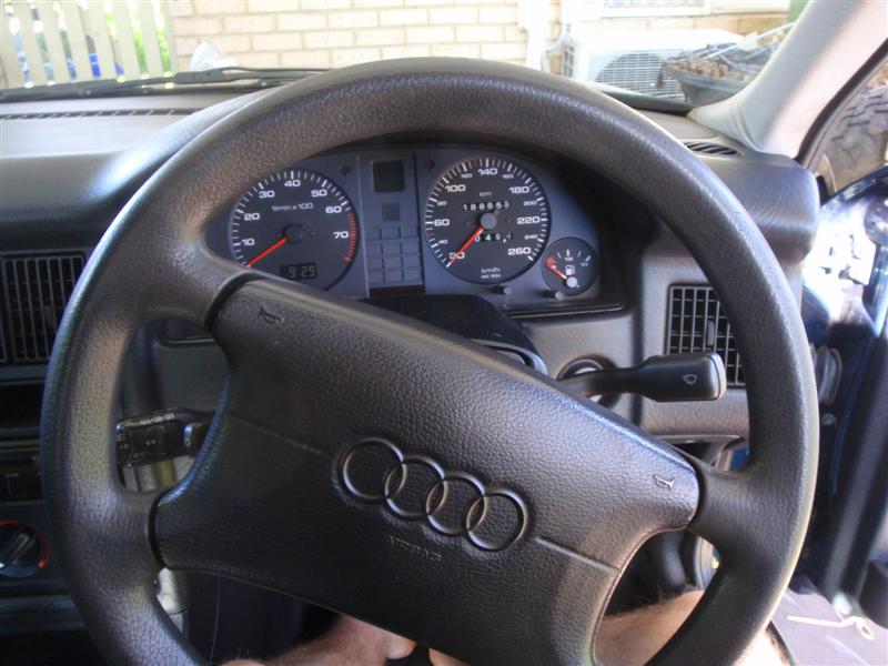 P9100356 (Medium).JPG