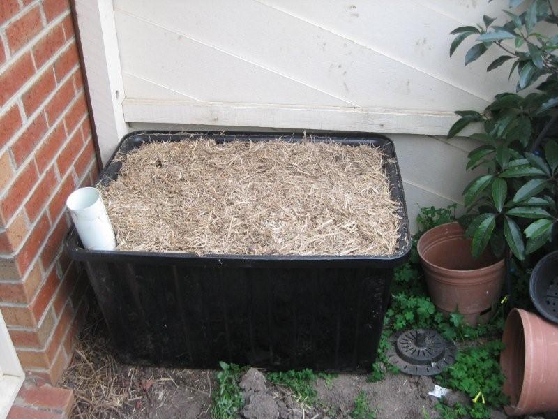 wicking bed.jpg