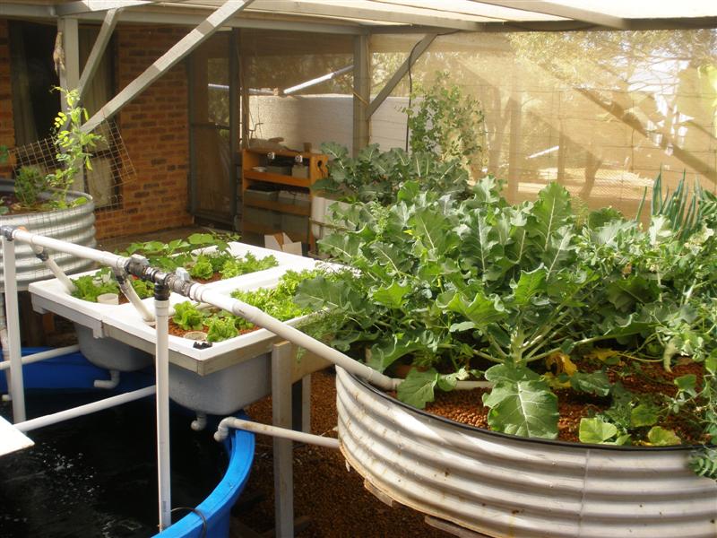 P9172160 (Medium).JPG