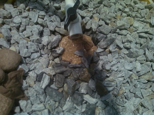 PH buffer up - growbed placement.jpg