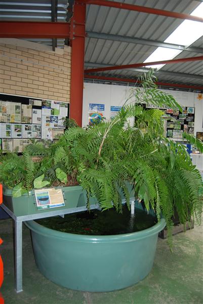 DSC_0775 (Custom).JPG