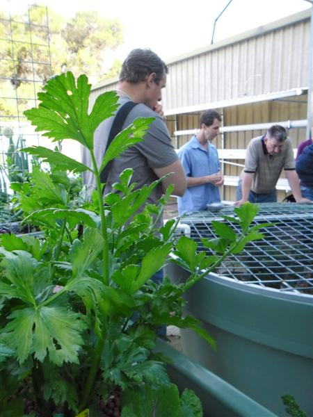 SAM_0856 (Medium).JPG